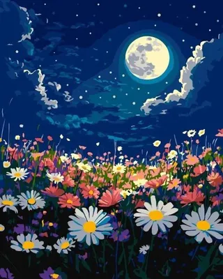 Image de Peinture par numéros - Nuit mystique 40 x 50 cm - Ideyka