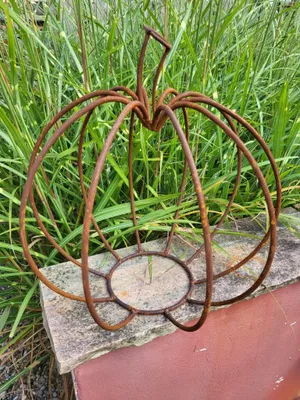 Produktbild von Edelrost Draht-Kürbis Edelrost Draht-Kürbis - d = 36 cm