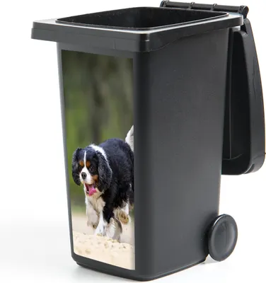 Produktbild von MuchoWow® Mülltonnenaufkleber Ein Cavalier King Charles Spaniel spielt mit einem Tennisball 44x98 cm - Containeraufkleber - Aufkleber - Mülltonnen-Aufkleber