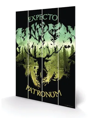 Obrázek produktu pro Harry Potter – Dřevoryt, rozměry 20 x 29,5 cm – Expecto Patronum