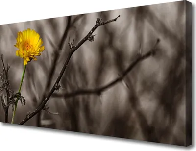 Produktbild von Tulup Leinwand-Bilder 100x50 Wandbild Canvas Kunstdruck Zweig Blume Pflanzen