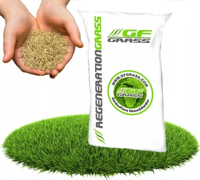 Produktbild von Rasensamen GF Regeneration Grass 5kg Nachsaat Rasen Grassamen Rasensaat Saatgut Grassaat Gras