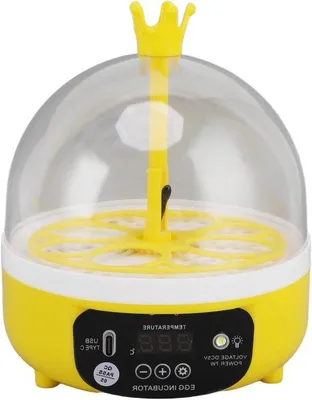 Obrázek produktu pro Mini inkubátor na vejce, 4 vejce, vlhkost, automatická regulace teploty