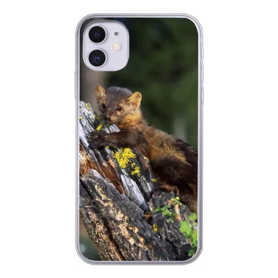 Produktbild von MuchoWow® Handyhülle Schutzhülle Hülle für iPhone 11 Marder - Baum - Wald Silikon Softcase Handy Hülle - Handytasche