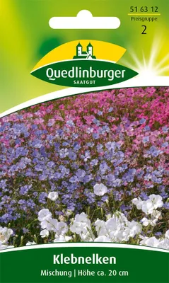 Produktbild von Klebnelke Brautpaar | Nelkensamen von Quedlinburger