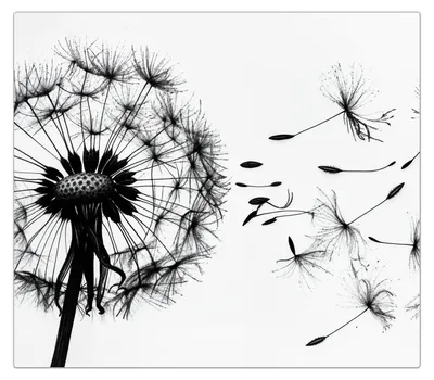 Produktbild von Spritzschutz Herdabdeckplatte Schneidebrett aus Glas Pusteblume 1-Teilig (60x52cm)