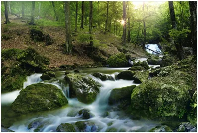 Produktbild von Wallario Premium Glasbild, freischwebende Optik, kräftige Farben, Größe 90 x 60 cm Motiv Fließender Bach im Wald bei Sonnenuntergang
