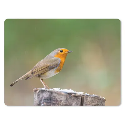 Produktbild von MuchoWow® Mauspad Mousepad Tiere - Vogel - Rotkehlchen 23x19 cm - Mousepads - Maus Mat - Pad - Mausunterlage - Schreibtischunterlage - Mauspad