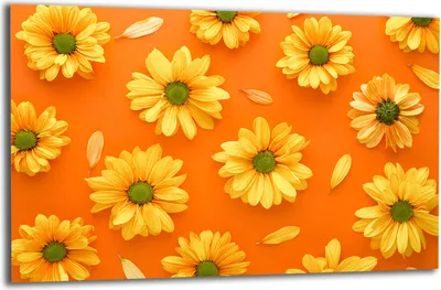 Produktbild von Herdabdeckplatte Glaskeramikkochfeld-Abdeckung Spritzschutz Glas 80x52 Blumen