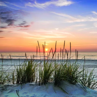 Produktbild von Leinwandbild - Strand bei Sonnenuntergang - 35 x 35cm