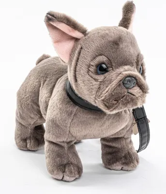 Produktbild von Uni-Toys - Französische Bulldogge (grau) mit Leine - 26 cm (Länge) - Plüsch-Hund, Dogge - Plüschtier, Kuscheltier