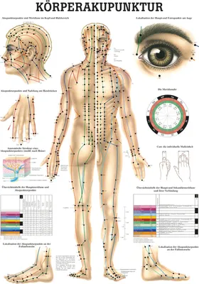 Produktbild von Akupunktur Mini-Poster Anatomie 34x24 cm medizinische Lehrmittel