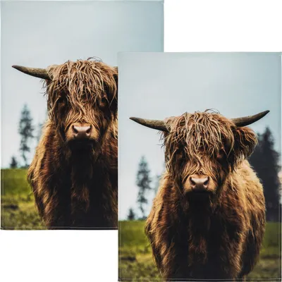 Produktbild von Kracht Geschirrtuch Galloway" im 2er-Pack braun 50x70 cm"
