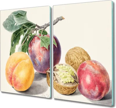 Produktbild von Coloray Schneidebrett Herdabdeckplatte 2x30x52 cm Kochplattenabdeckung Hackbrett Küchenbrett - Fruchtzweig Blätter