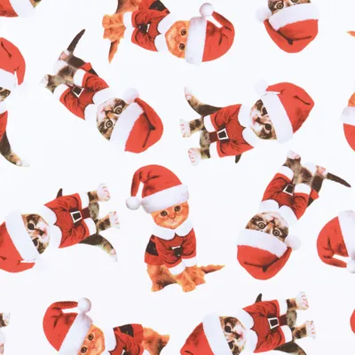 Produktbild von Geschenkpapier Katzen mit Weihnachtsmützen 70cm x 2m Rolle weiß / rot