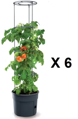 Produktbild von 6 Stück Blumentopf Tomatentopf 115cm Topf für Tomatenpflanzen 12L Tomatenzucht Tomatenkübel Tomatenzüchter Set Tomatenpflanze KG