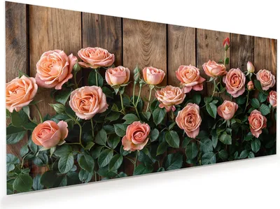 Produktbild von Glasbild 100x50cm in XXL für Wohnzimmer, Schlafzimmer Motiv Rosen Holzhintergrund