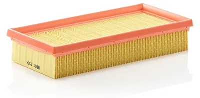 Immagine prodotto di Filtro dell'aria