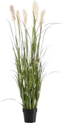 Alecono Künstliches Pampasgras 30 Stück – Rosa, 45 Cm, Flauschig | Für Deko Zu Hause Oder Bei Events