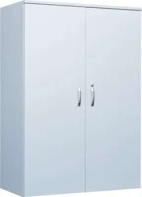Produktbild von Holz-Aktenschrank abschließbar Büroschrank Lichtgrau 1080 x 800 x 395 mm 391250