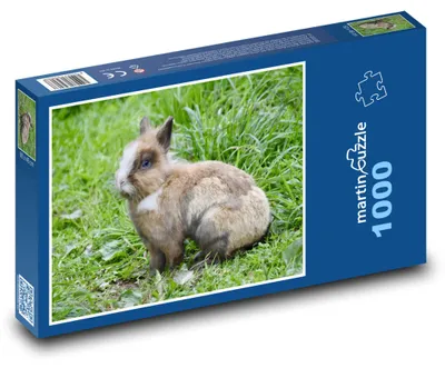 Obrázok produktu pre Puzzle 1000 Roztomilý zajačik na lúke - martinpuzzle
