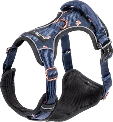 Productafbeelding van Famanu Hondentuig, ademend - Let's get Foxy collectie, 100% verstelbaar voor een perfecte pasvorm, anti-trek tuig (maat M)