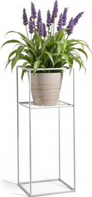 Produktbild von FRAMADO, Pflanzenständer Filo, Metallregal, Blumenständer, 24x24x60cm, Weiß