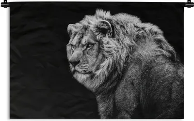 Produktbild von MuchoWow® Wandteppich Wandbehang Löwe - Porträt - Wildtiere - Schwarz - Weiß 90x60 cm Tapisserie Dekoration Wandtuch - Wandskulpturen - Bildteppich