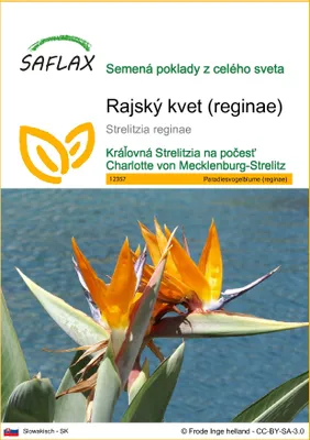 Obrázok produktu pre SAFLAX - rajský kvet (reginae) - Strelitzia reginae - 5 Semená