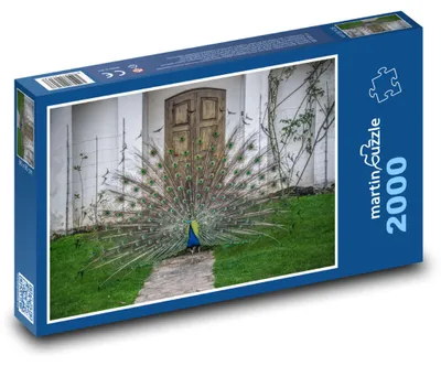 Obrázek produktu pro martinpuzzle - Puzzle 2000 - Páv korunkatý