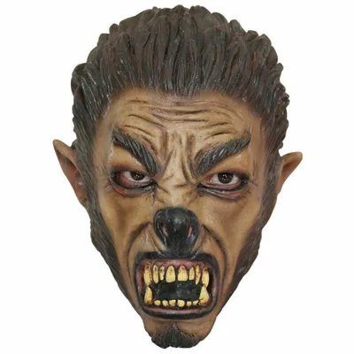 Produktbild von Teenage Werwolf Kindermaske