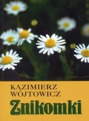 Image de Zbiór opowiadań i historyjek dla nauczania chrześcijańskiego