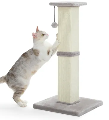 Image de Arbre à gratter Kratzbaum, 81 cm, en sisal, pour intérieur, pour chats