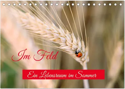 Produktbild von Im Feld (Tischkalender 2025 DIN A5 quer), CALVENDO Monatskalender
