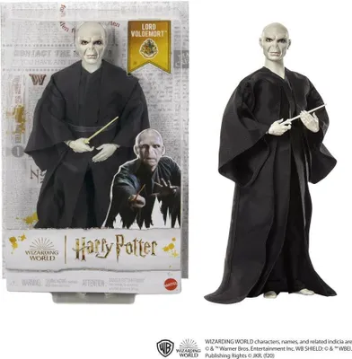 A product image showing a Harry Potter Lord Voldemort action figure in its packaging and also displayed outside of the packaging.