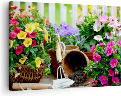 Produktbild von Bild auf Leinwand - Leinwandbild - Pflanzen Garten Frühling Natur - 70x50cm - Wand Bild - Wanddeko - Leinwanddruck - Bilder - Kunstdruck - Wanddekoration - Leinwand bilder - Wandkunst - AA70x50-2682