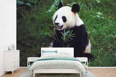 Produktbild von MuchoWow® Fototapete für Wohnzimmer oder Schlafzimmer Wandtapete Vinyl Motivtapete Panda - Wilde Tiere - Bambus - Gras - 450x300 cm - Gemusterte