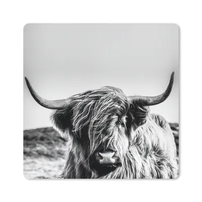 Produktbild von MuchoWow® Mauspad Mousepad Kuh - Schottischer Hochländer - Schwarz - Weiß - Tier - Natur - Wildtiere 30x30 cm - Mousepads - Maus Mat - Pad - Mausunterlage - Gaming