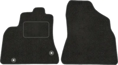 Image de Tapis de sol avant pour Citroen BERLINGO II - Conforme à la législation
