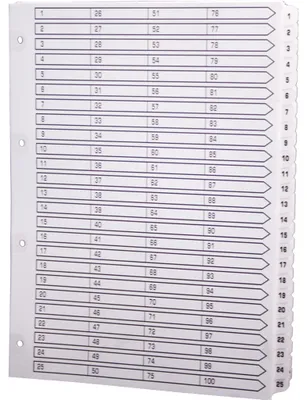 Image de Exacompta 2x Intercalaires imprimés 1 à 100 A4 Blanc MWD1-100Z