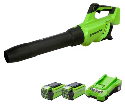 Produktbild von Greenworks GD40ABK2X Axial Akku Laubbläser mit bürstenlosem Motor, 210 km/h, 15,