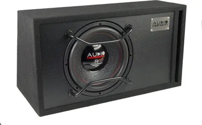 Zdjęcie produktu dla System audio R12 EVO BR subwoofer w obudowie 30 cm