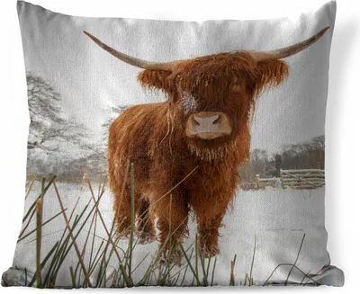 Produktbild von MuchoWow® Zierkissen Sofakissen Wohnzimmer Dekokissen 45x45 cm Schottisches Hochlandrind - Schnee - Winter - Schlafpolster - Polster für das Sofa