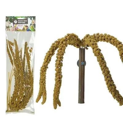 Immagine prodotto di Struzzo di miglio giallo di Back Zoo Nature | Struzzo di miglio giallo in orecchie | Trattamento per tutti i pappagalli 150g