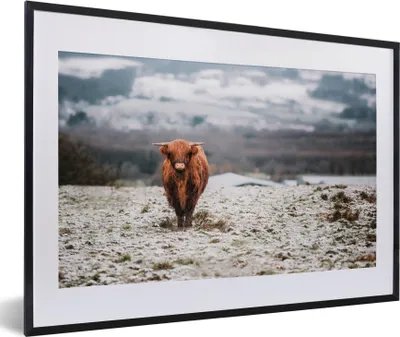 Produktbild von MuchoWow® MuchoWow® Gerahmtes Poster Schottisches Hochlandrind - Schnee - Berg 60x40 cm - Poster mit zchwarzem Bilderrahmen - Schlafzimmer - Plakat in Rahmen - Drucken
