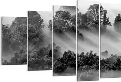 Produktbild von Bild auf Leinwand - Leinwandbild - 5 Teile - Schwarzweiß Bäume Nebel - 150x100cm - Wand Bild - Wanddeko - Wandbilder - Leinwanddruck - Bilder - Wanddekoration - Leinwand bilder - EG150x100-4510