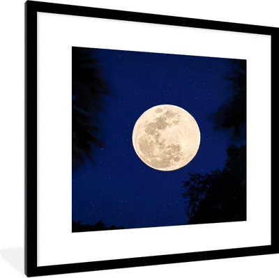 Produktbild von MuchoWow® Gerahmtes Poster Mond - Bäume - Nacht 40x40 cm - Poster mit Schwarzem Bilderrahmen Wandposter Rahmen Foto Bilder - Poster - Plakat im Rahmen