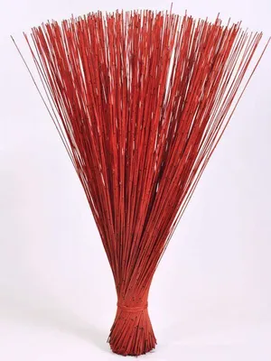 Produktbild von TROCKENBLUMEN Schilf "Mikado" ca. 75 cm