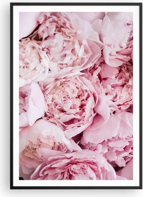 Produktbild von Gerahmtes Poster - Schwarzer Rahmen - Blumenstrauß Blumen Rosa - 70x100 cm - Wand Bild - Wanddeko - Wandbilder - Kunstposter - Wandposter - Bilderrahmen - Bilder - Kunstdruck - P2BPA70x100-5001