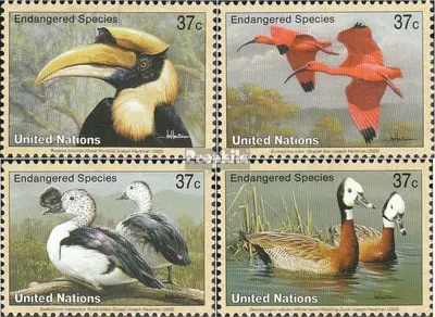 Produktbild von Briefmarken UNO - New York 2003 Mi 925-928 (kompl.Ausg.) postfrisch Vögel